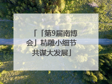 「第9届南博会」精雕小细节共谋大发展