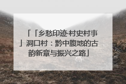 「乡愁印迹·村史村事」洞口村：黔中腹地的古韵新章与振兴之路