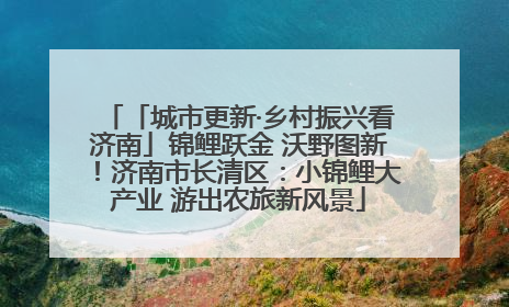 「城市更新·乡村振兴看济南」锦鲤跃金 沃野图新！济南市长清区：小锦鲤大产业 游出农旅新风景
