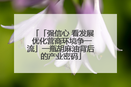「强信心 看发展 优化营商环境争一流」一瓶胡麻油背后的产业密码