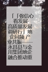 「强信心 看发展·高质量发展调研行」地企同频 产业共振——永昌县与金川集团地企融合推动重大项目建设