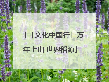「文化中国行」万年上山 世界稻源