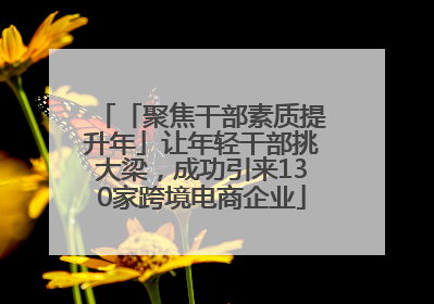 「聚焦干部素质提升年」让年轻干部挑大梁，成功引来130家跨境电商企业