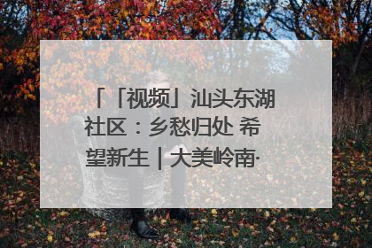 「视频」汕头东湖社区：乡愁归处 希望新生｜大美岭南·百村焕新记