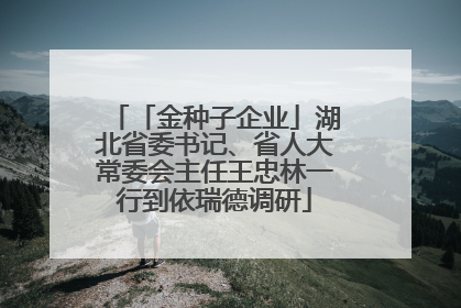 「金种子企业」湖北省委书记、省人大常委会主任王忠林一行到依瑞德调研