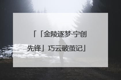 「金陵逐梦·宁创先锋」巧云破茧记