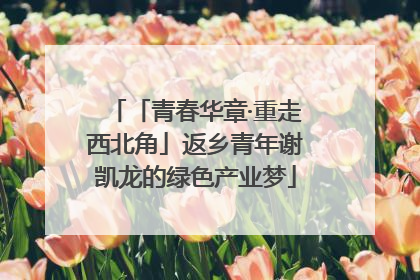 「青春华章·重走西北角」返乡青年谢凯龙的绿色产业梦