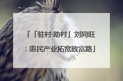 「驻村·助村」刘同旺：惠民产业拓宽致富路