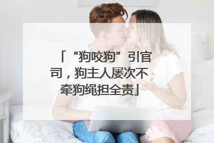 “狗咬狗”引官司，狗主人屡次不牵狗绳担全责