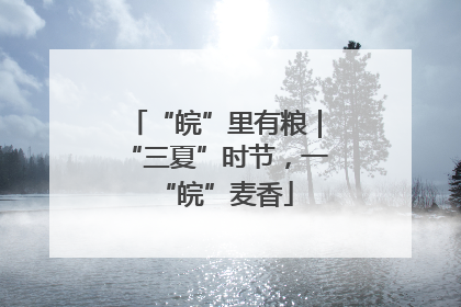 “皖”里有粮｜“三夏”时节，一“皖”麦香