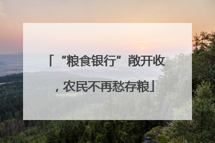 “粮食银行”敞开收，农民不再愁存粮
