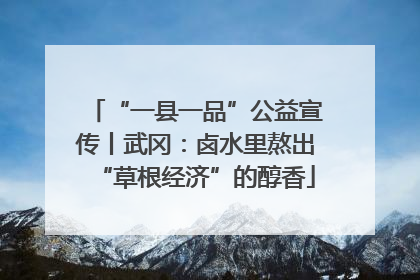 “一县一品”公益宣传丨武冈：卤水里熬出“草根经济”的醇香