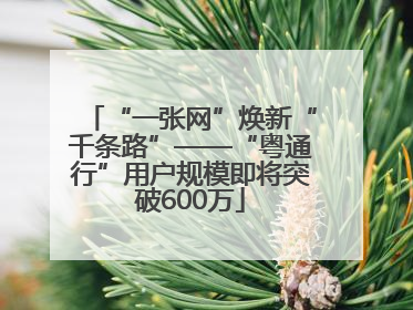 “一张网”焕新“千条路”——“粤通行”用户规模即将突破600万