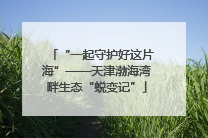 “一起守护好这片海”——天津渤海湾畔生态“蜕变记”