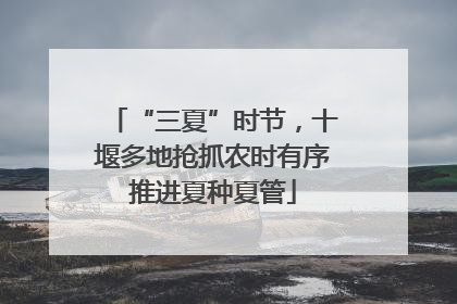 “三夏”时节，十堰多地抢抓农时有序推进夏种夏管