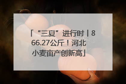 “三夏”进行时丨866.27公斤！河北小麦亩产创新高