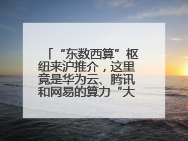 “东数西算”枢纽来沪推介，这里竟是华为云、腾讯和网易的算力“大本营”