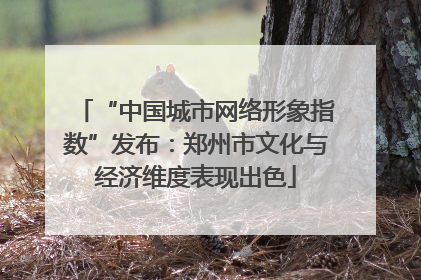 “中国城市网络形象指数”发布：郑州市文化与经济维度表现出色