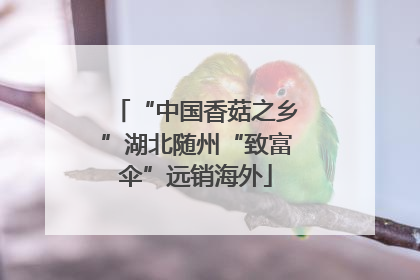 “中国香菇之乡”湖北随州“致富伞”远销海外