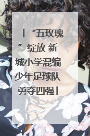 “五玫瑰”绽放 新城小学混编少年足球队勇夺四强