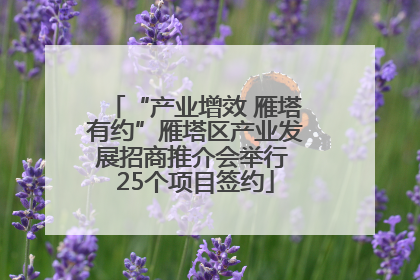 “产业增效 雁塔有约”雁塔区产业发展招商推介会举行 25个项目签约