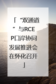 “双通道”与RCEP口岸协同发展推进会在怀化召开