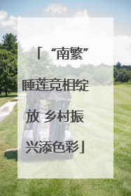 “南繁”睡莲竞相绽放 乡村振兴添色彩