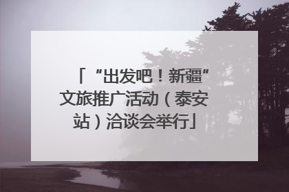 “出发吧！新疆”文旅推广活动（泰安站）洽谈会举行