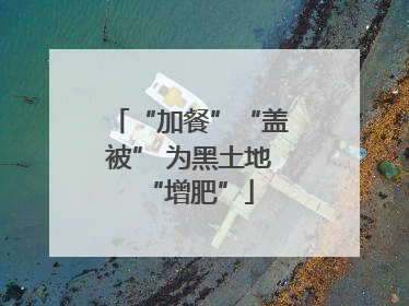 “加餐”“盖被” 为黑土地“增肥”