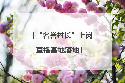 “名誉村长”上岗 直播基地落地