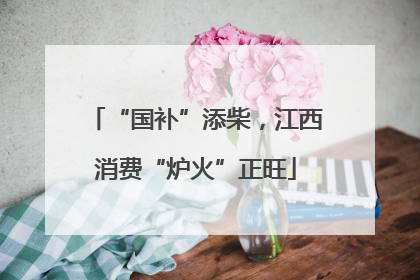 “国补”添柴，江西消费“炉火”正旺