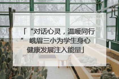 “对话心灵，温暖同行” 峨眉三小为学生身心健康发展注入能量