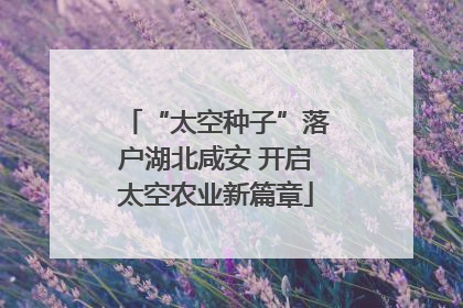 “太空种子”落户湖北咸安 开启太空农业新篇章