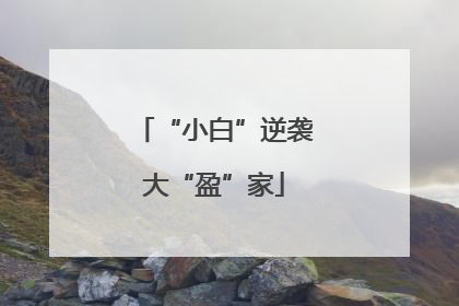 “小白”逆袭大“盈”家