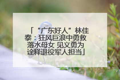 “广东好人”林佳泰：狂风巨浪中勇救落水母女 见义勇为诠释退役军人担当