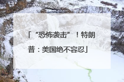 “恐怖袭击”！特朗普：美国绝不容忍