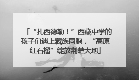 “扎西德勒！”西藏中学的孩子们遇上藏族同胞，“高原红石榴”绽放荆楚大地