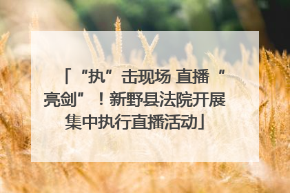 “执”击现场 直播“亮剑”！新野县法院开展集中执行直播活动