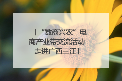 “数商兴农”电商产业带交流活动走进广西三江