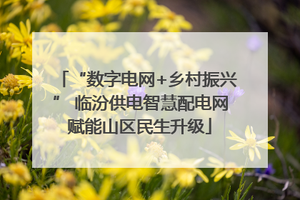 “数字电网+乡村振兴” 临汾供电智慧配电网赋能山区民生升级