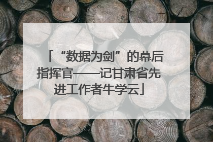 “数据为剑”的幕后指挥官——记甘肃省先进工作者牛学云