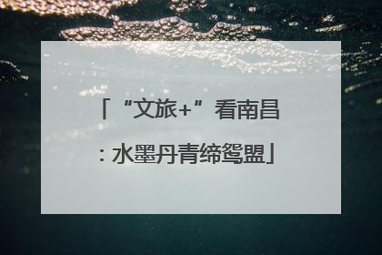 “文旅+”看南昌：水墨丹青缔鸳盟