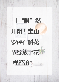 “斛”然开朗！宝山罗泾石斛花节绽放“花样经济”