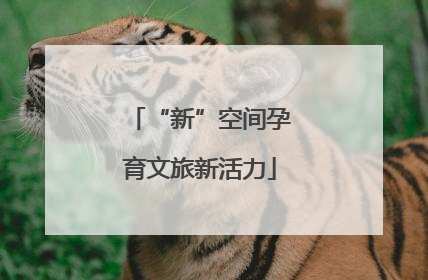 “新”空间孕育文旅新活力