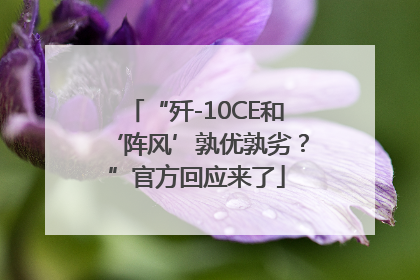 “歼-10CE和‘阵风’孰优孰劣？”官方回应来了
