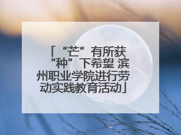 “芒”有所获 “种”下希望 滨州职业学院进行劳动实践教育活动