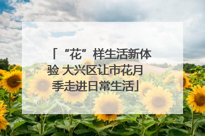 “花”样生活新体验 大兴区让市花月季走进日常生活