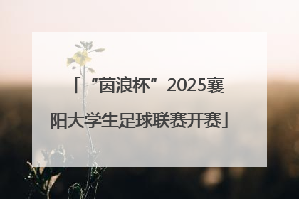 “茵浪杯”2025襄阳大学生足球联赛开赛