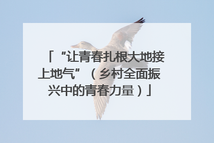 “让青春扎根大地接上地气”（乡村全面振兴中的青春力量）
