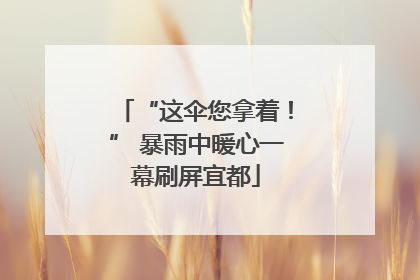 “这伞您拿着！” 暴雨中暖心一幕刷屏宜都